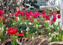 Fruehling In Der Goethe Galerie  Februar 2026 11